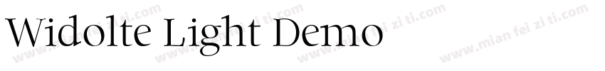 Widolte Light Demo字体转换